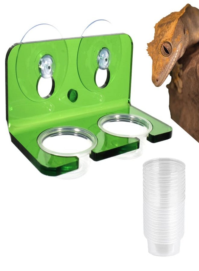 WOLEDOE Crested Gecko Feeding Ledge with 10 Pcs 0.5oz Bowls, Reptile Food Cups and Water Dish fit Chameleon Lguana Lizards - Image 1